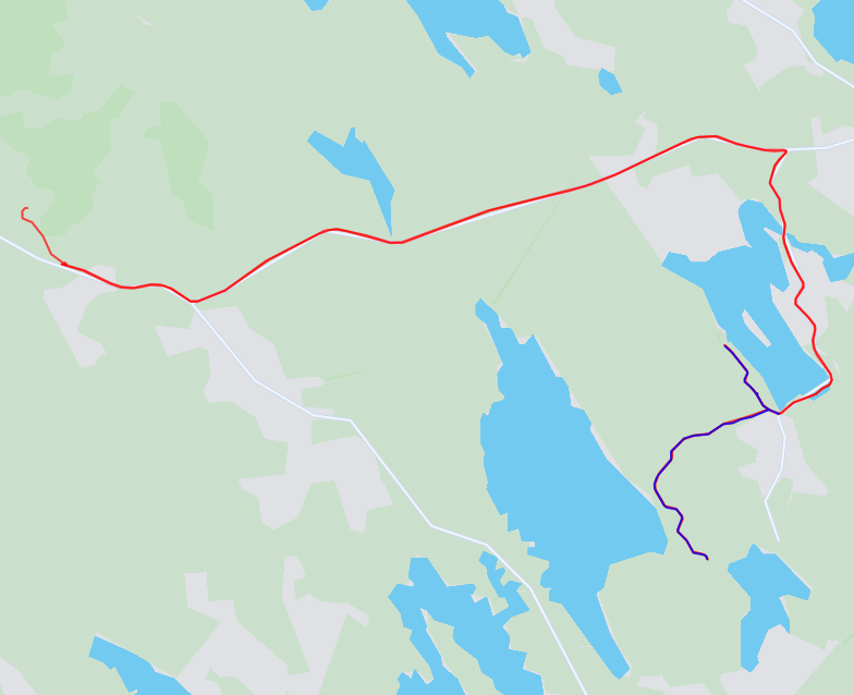 Iltalenkki 2.9.2025 – Ruudun haku Salmenkylältä